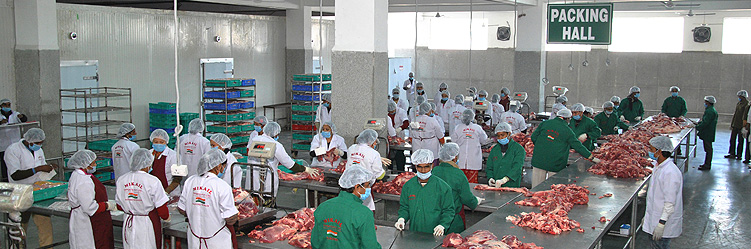 Packing Hall